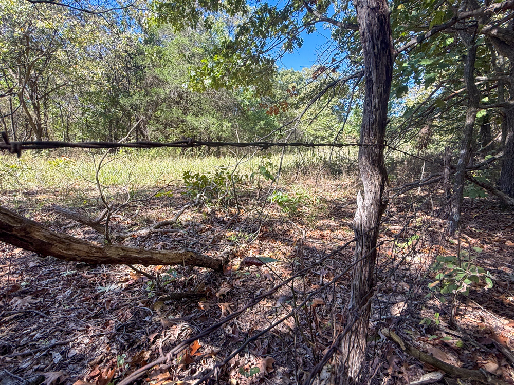Premier Build Sites and Trophy Deer Habitat Near Carthage