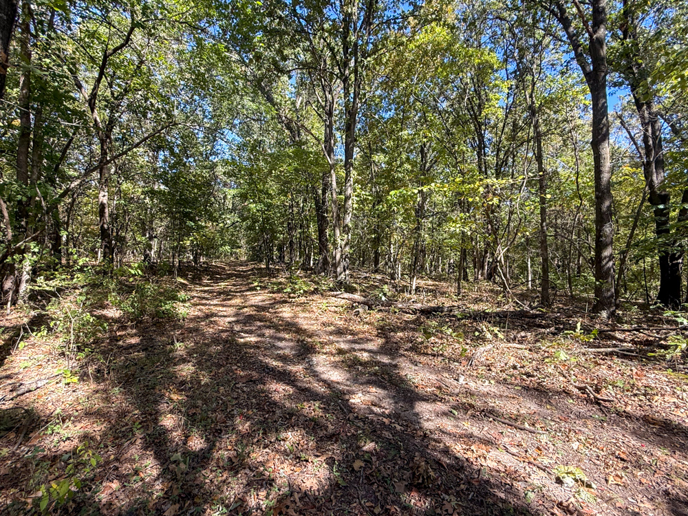 Premier Build Sites and Trophy Deer Habitat Near Carthage