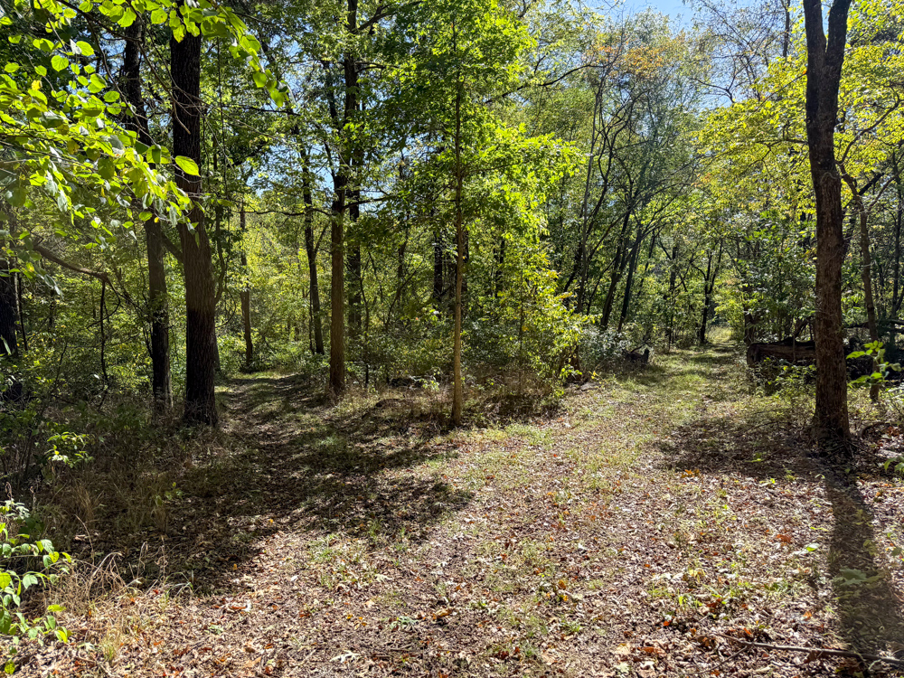 Premier Build Sites and Trophy Deer Habitat Near Carthage
