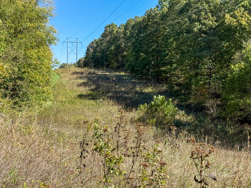 Premier Build Sites and Trophy Deer Habitat Near Carthage