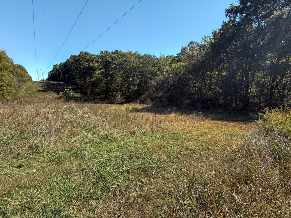 Premier Build Sites and Trophy Deer Habitat Near Carthage