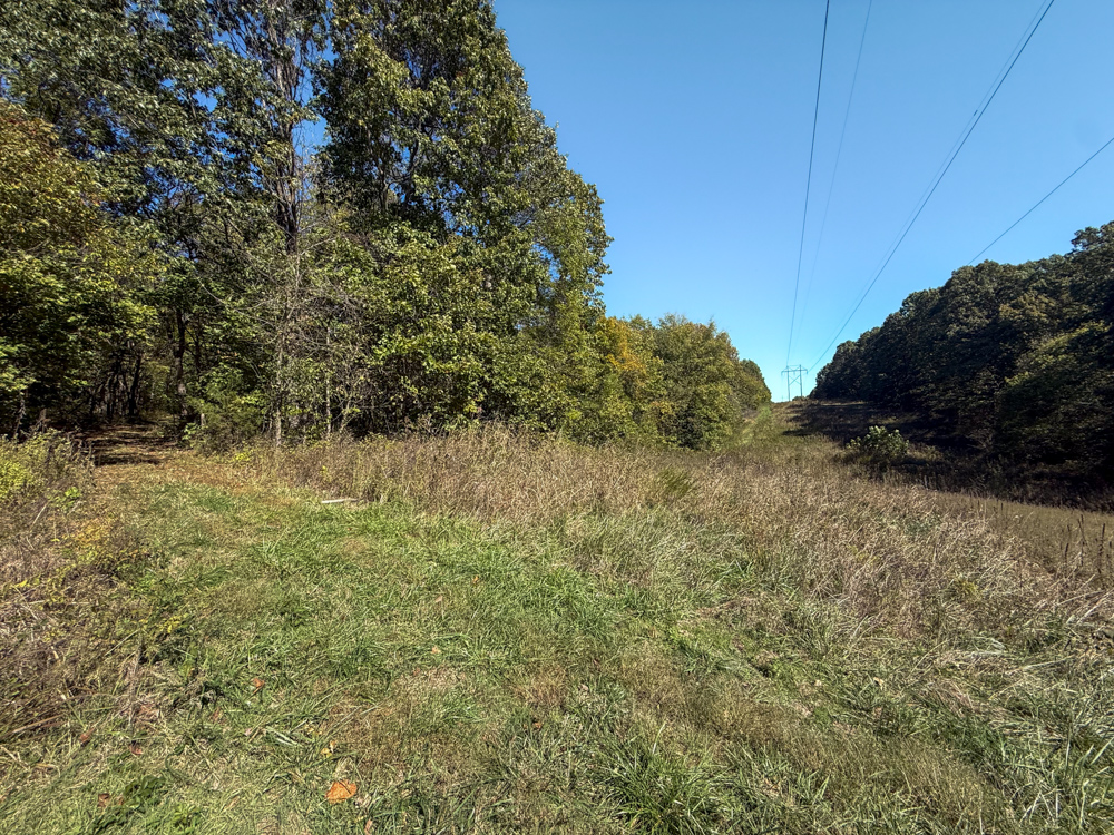 Premier Build Sites and Trophy Deer Habitat Near Carthage