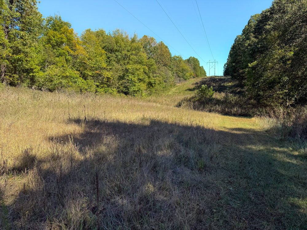 Premier Build Sites and Trophy Deer Habitat Near Carthage