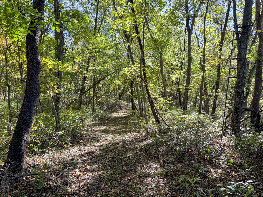 Premier Build Sites and Trophy Deer Habitat Near Carthage