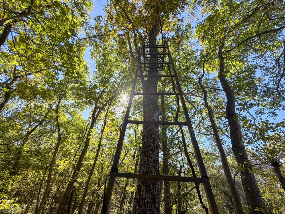 Premier Build Sites and Trophy Deer Habitat Near Carthage