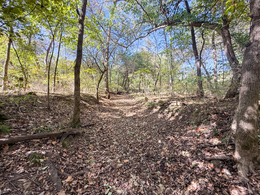 Premier Build Sites and Trophy Deer Habitat Near Carthage