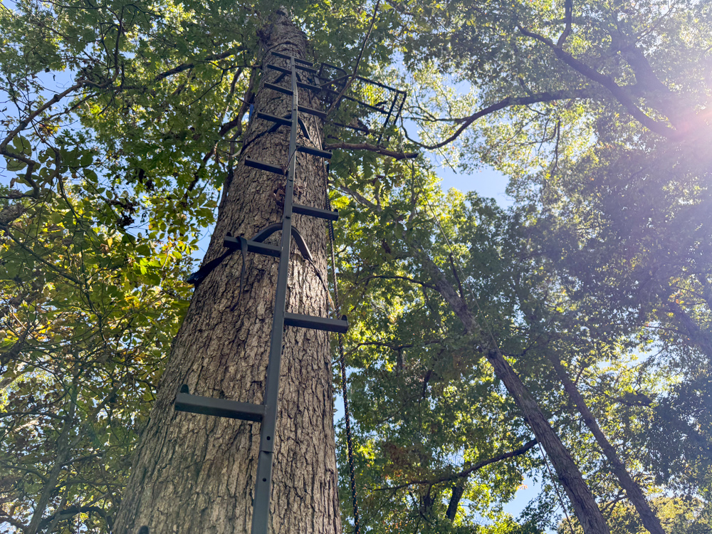 Premier Build Sites and Trophy Deer Habitat Near Carthage