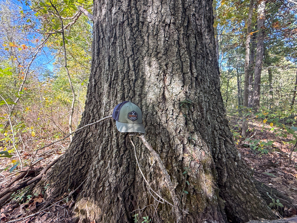 Premier Build Sites and Trophy Deer Habitat Near Carthage