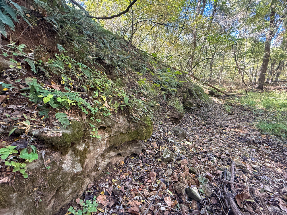 Premier Build Sites and Trophy Deer Habitat Near Carthage