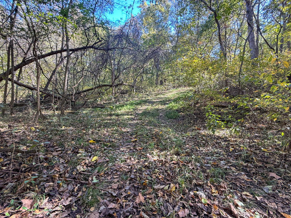 Premier Build Sites and Trophy Deer Habitat Near Carthage