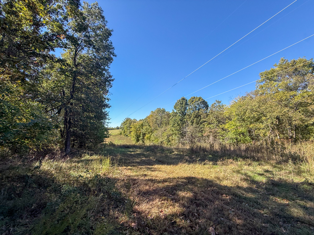 Premier Build Sites and Trophy Deer Habitat Near Carthage