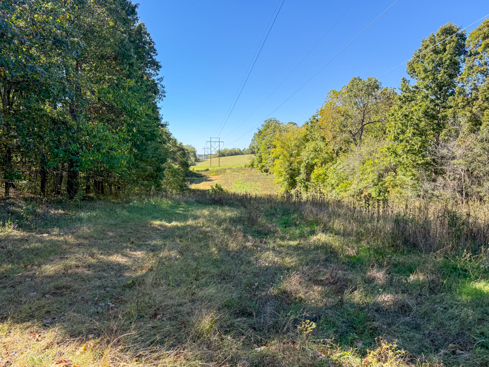 Premier Build Sites and Trophy Deer Habitat Near Carthage