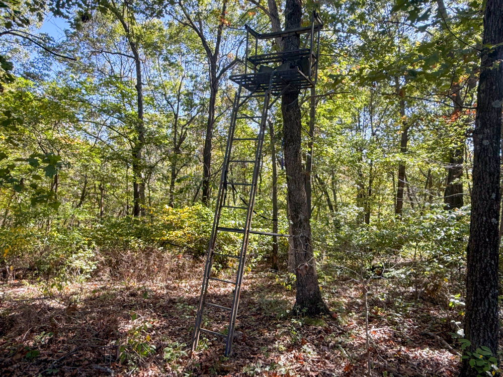 Premier Build Sites and Trophy Deer Habitat Near Carthage