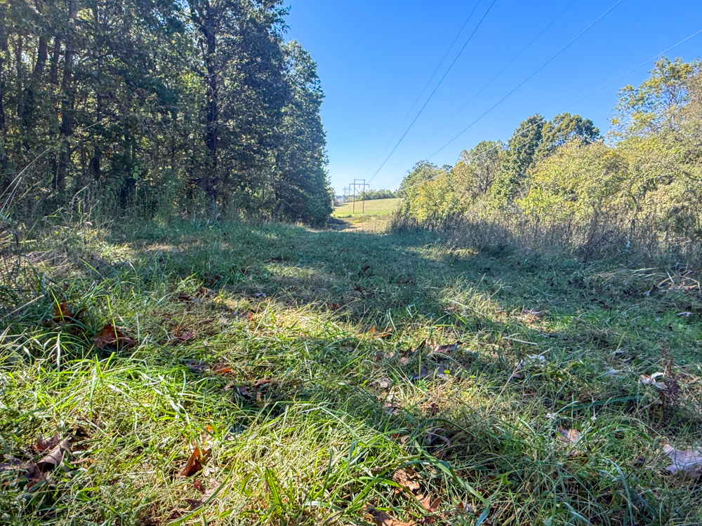 Premier Build Sites and Trophy Deer Habitat Near Carthage