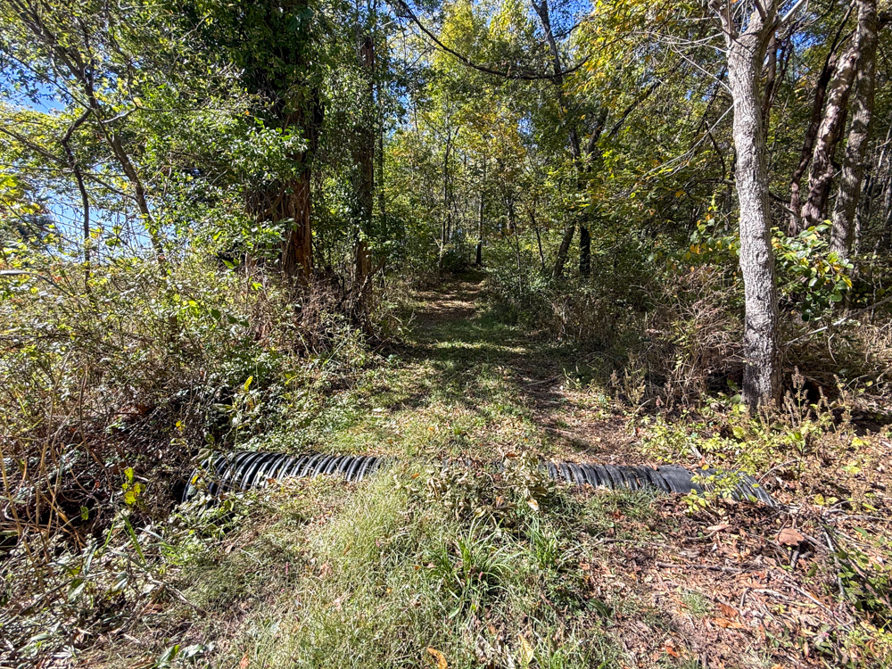 Premier Build Sites and Trophy Deer Habitat Near Carthage