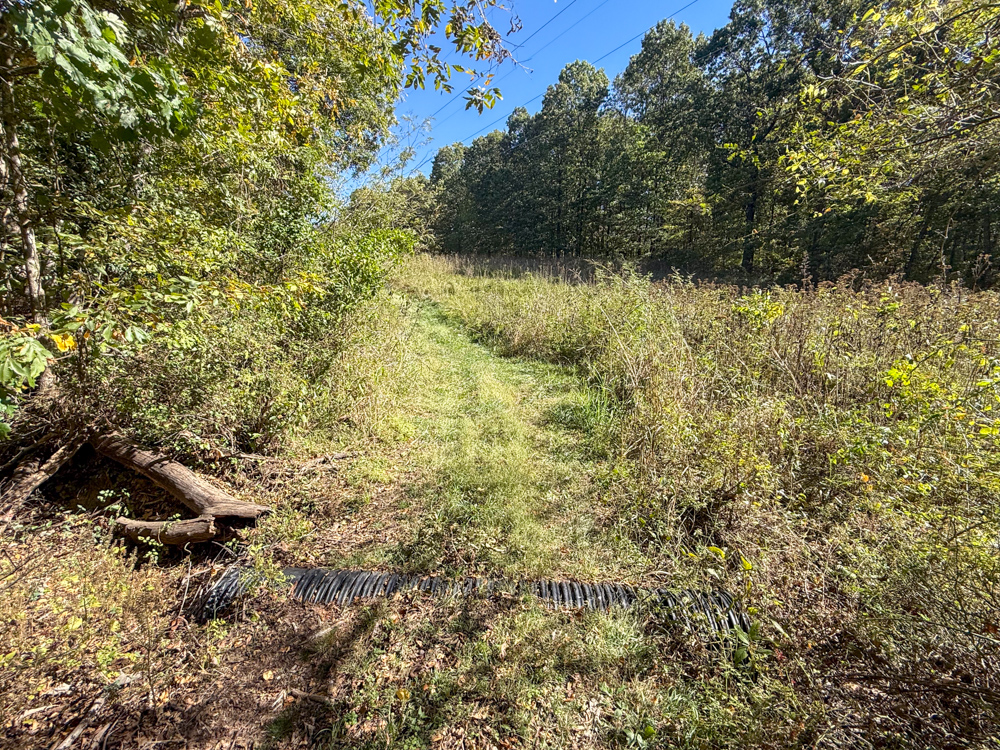 Premier Build Sites and Trophy Deer Habitat Near Carthage