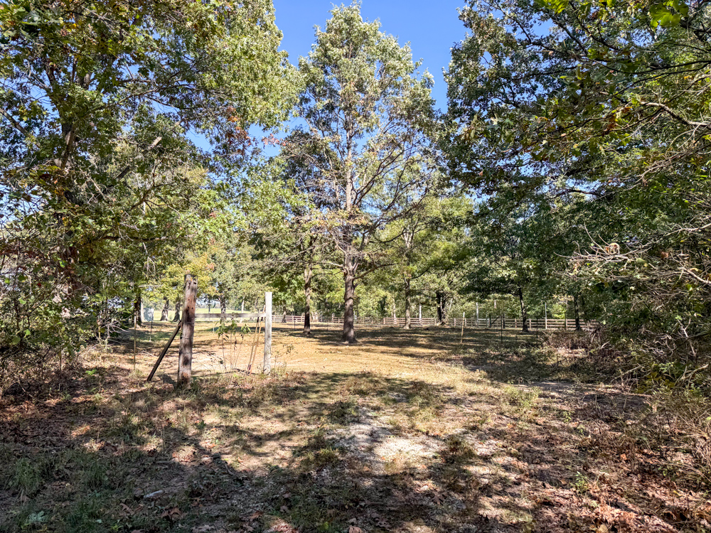 Premier Build Sites and Trophy Deer Habitat Near Carthage