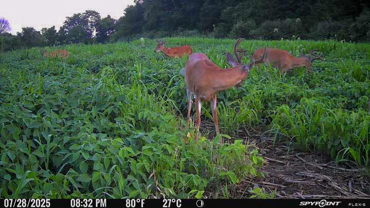 Country Living with Income