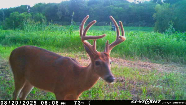 Hunting Paradise with Income