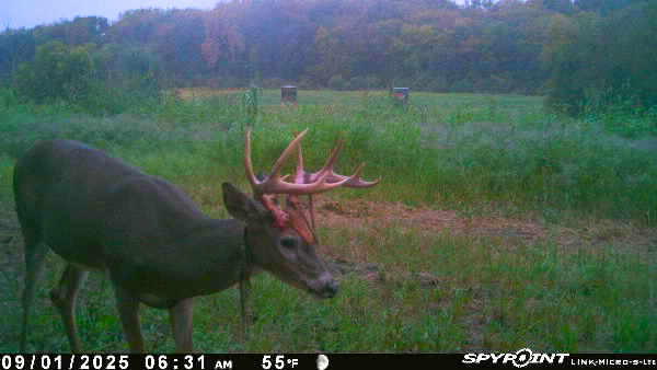 Hunting Paradise with Income