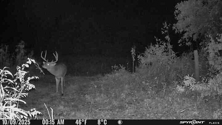 Hunting Paradise with Income