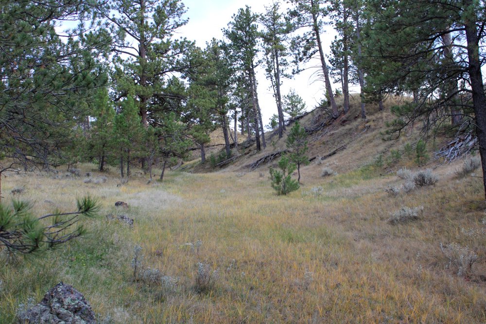 Pine Valley Build Site - Broad Axe Tract A5