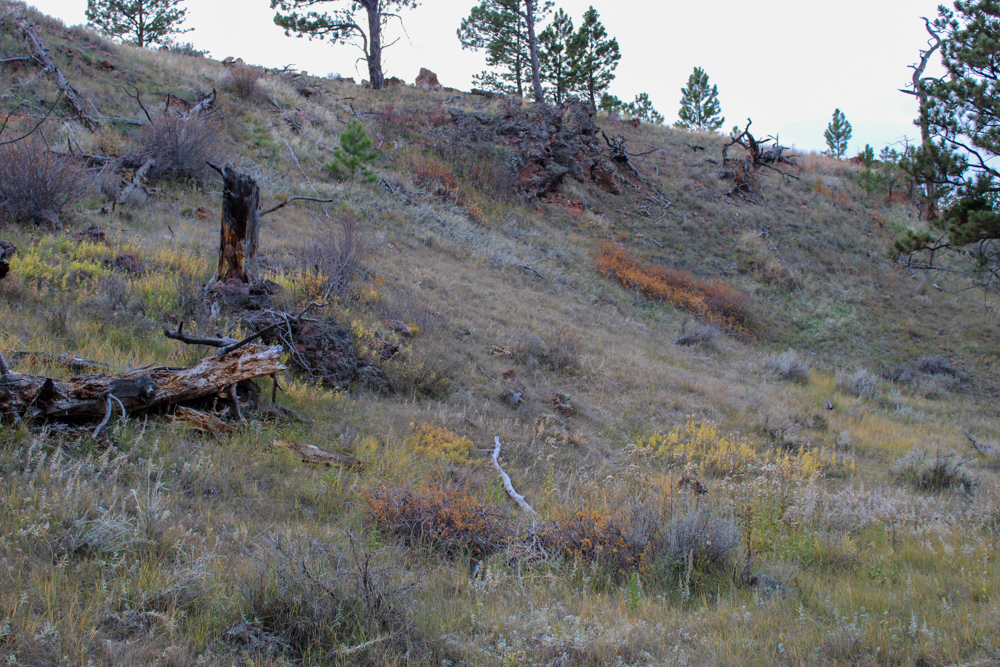 Pine Valley Build Site - Broad Axe Tract A5