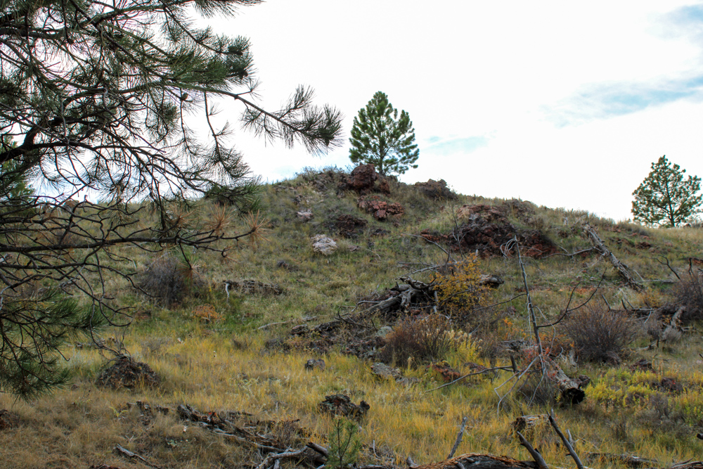 Pine Valley Build Site - Broad Axe Tract A5