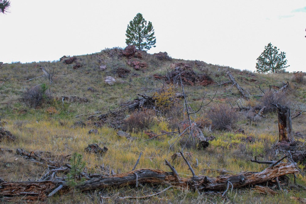 Pine Valley Build Site - Broad Axe Tract A5