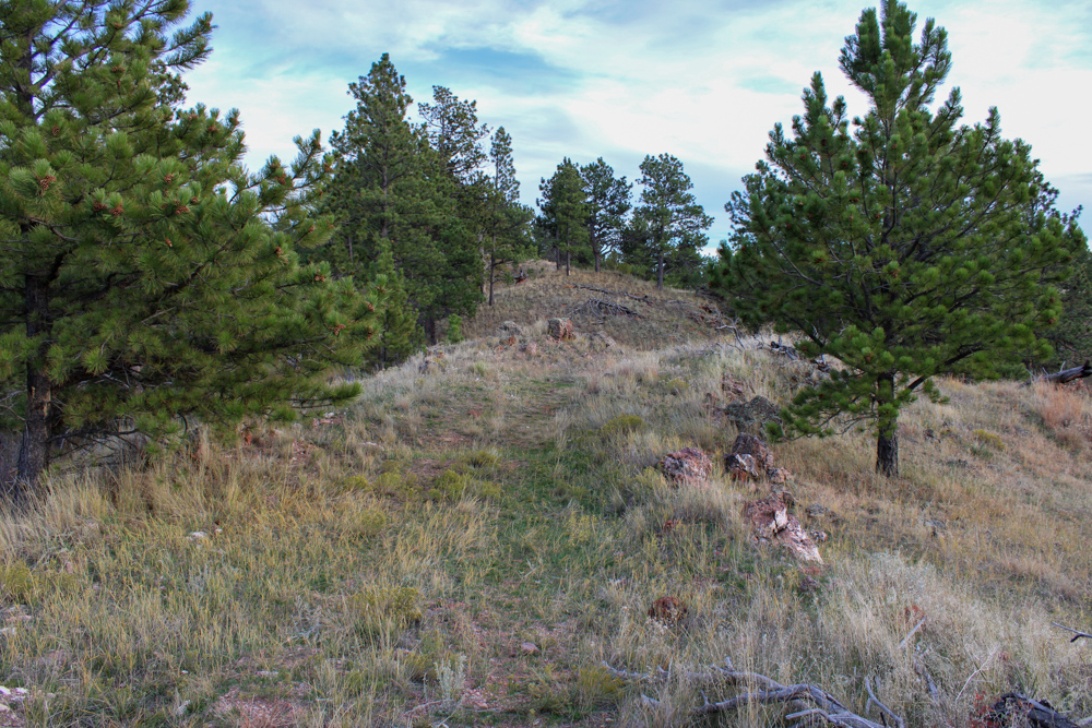 Pine Valley Build Site - Broad Axe Tract A5