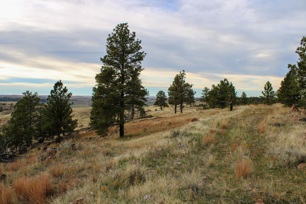 Pine Valley Build Site - Broad Axe Tract A5