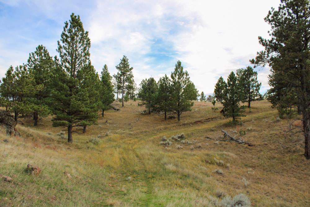 Pine Valley Build Site - Broad Axe Tract A5