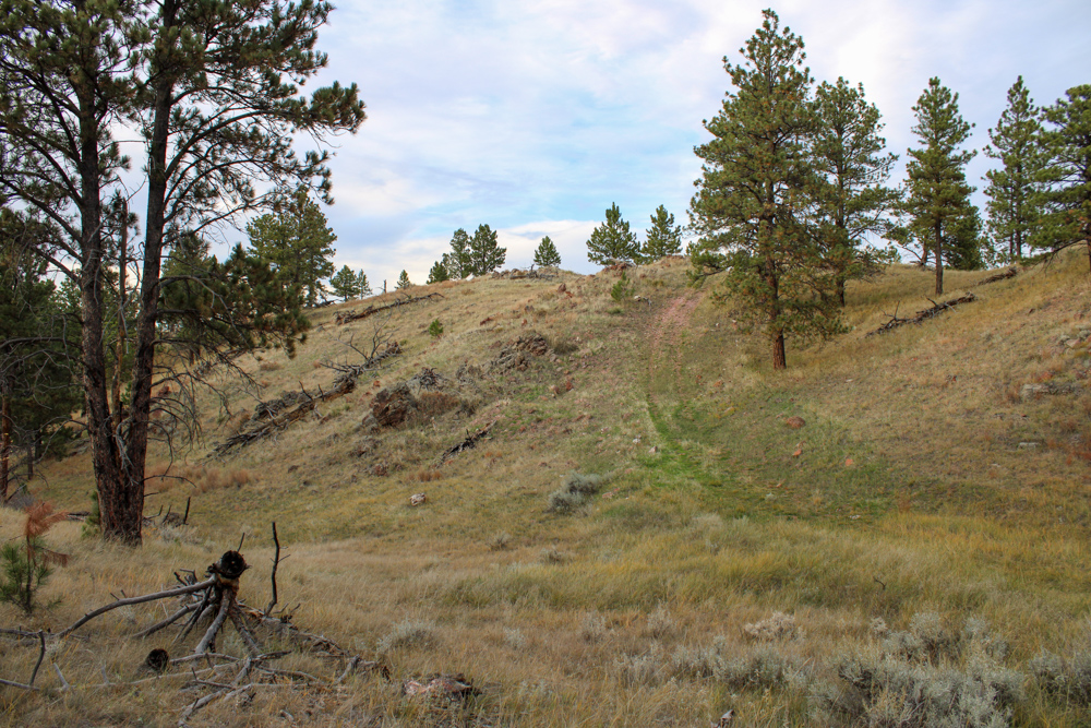 Pine Valley Build Site - Broad Axe Tract A5