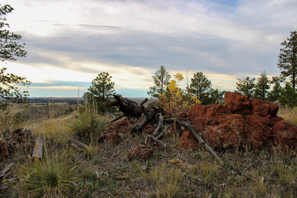 Pine Valley Build Site - Broad Axe Tract A5