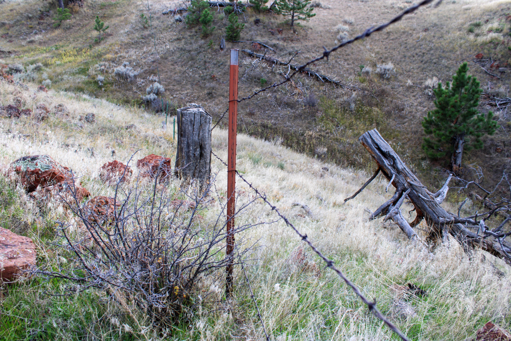 Pine Valley Build Site - Broad Axe Tract A5