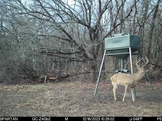 Big Bucks, Big Timber, and Big Income