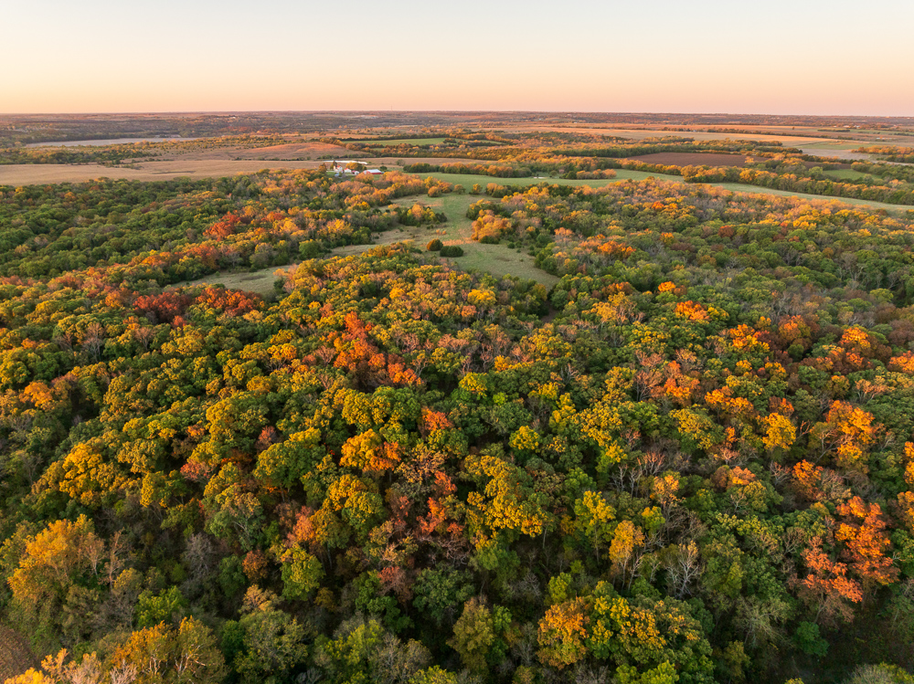 Stunning Hunting Acreage with Rustic Limestone Home