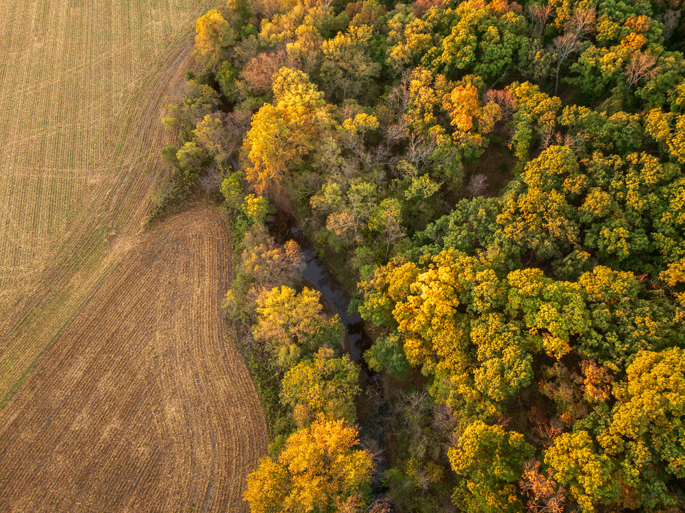 Stunning Hunting Acreage with Rustic Limestone Home