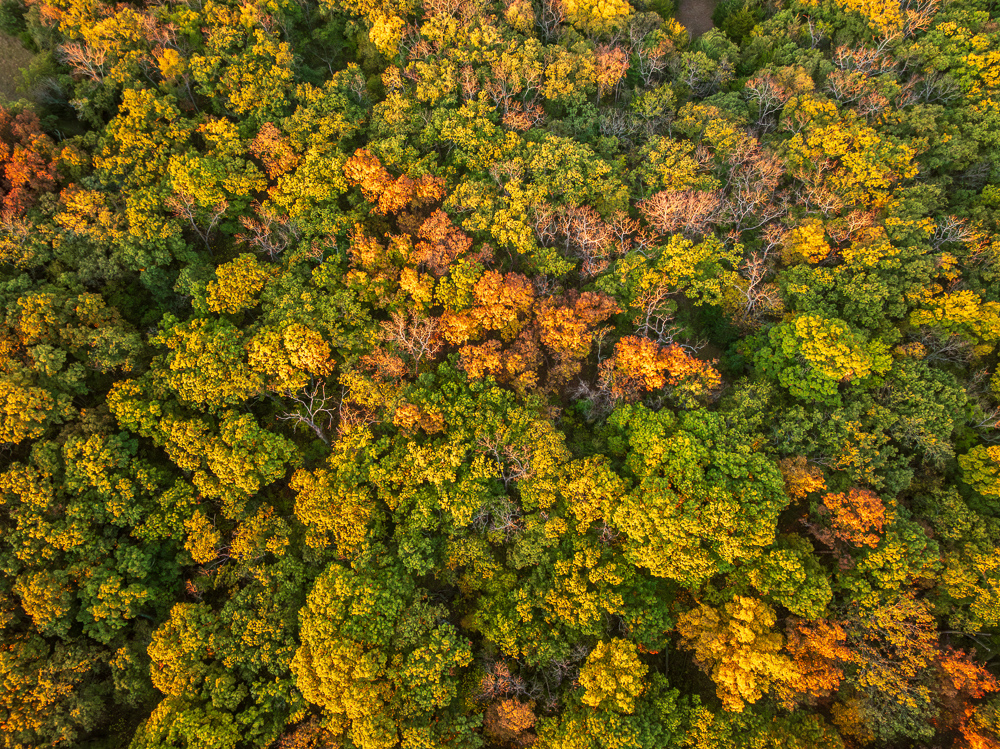 Stunning Hunting Acreage with Rustic Limestone Home