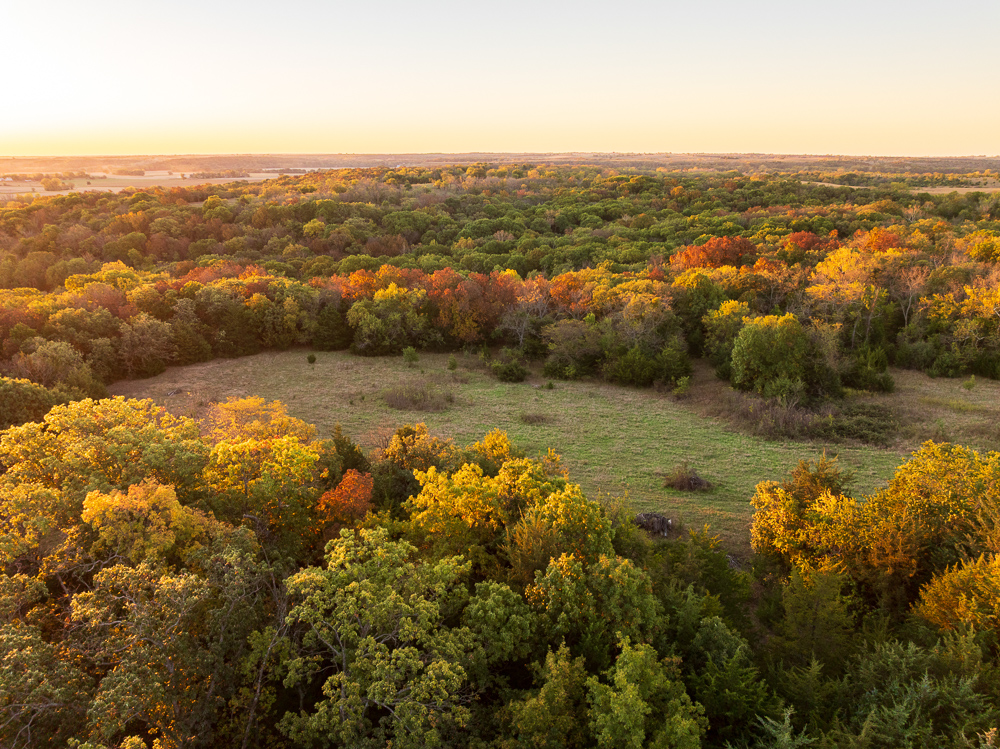 Stunning Hunting Acreage with Rustic Limestone Home