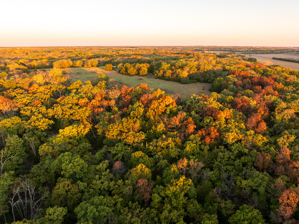 Stunning Hunting Acreage with Rustic Limestone Home