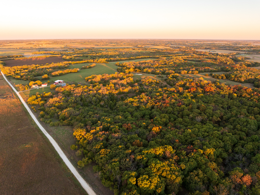 Stunning Hunting Acreage with Rustic Limestone Home