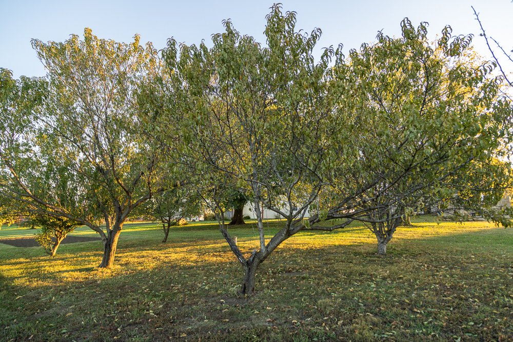 Stunning Hunting Acreage with Rustic Limestone Home