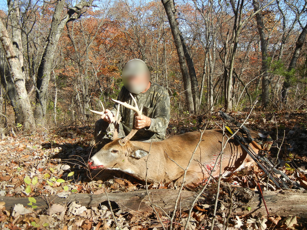 Stunning Hunting Acreage with Rustic Limestone Home