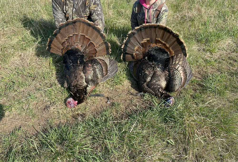 Stunning Hunting Acreage with Rustic Limestone Home