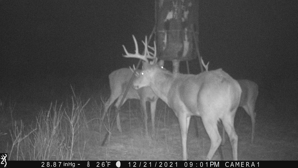 Stunning Hunting Acreage with Rustic Limestone Home