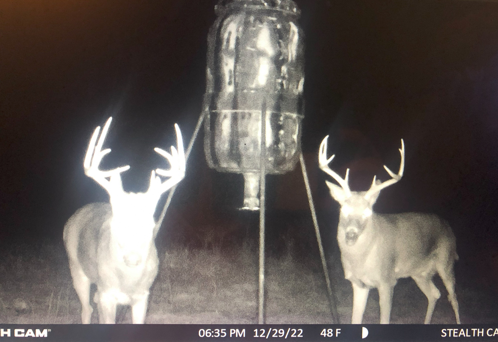 Stunning Hunting Acreage with Rustic Limestone Home