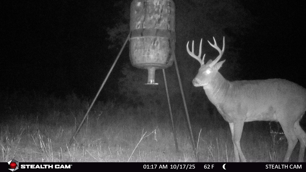 Stunning Hunting Acreage with Rustic Limestone Home