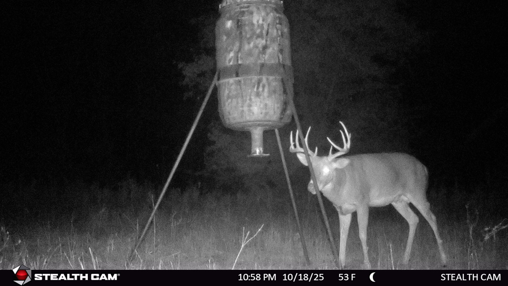 Stunning Hunting Acreage with Rustic Limestone Home