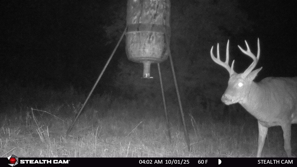 Stunning Hunting Acreage with Rustic Limestone Home